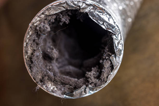Best Residential Air Duct Cleaning  in Placentia, CA